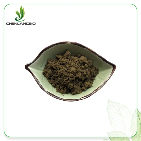 Ajuga Turkestanica Extract Powder